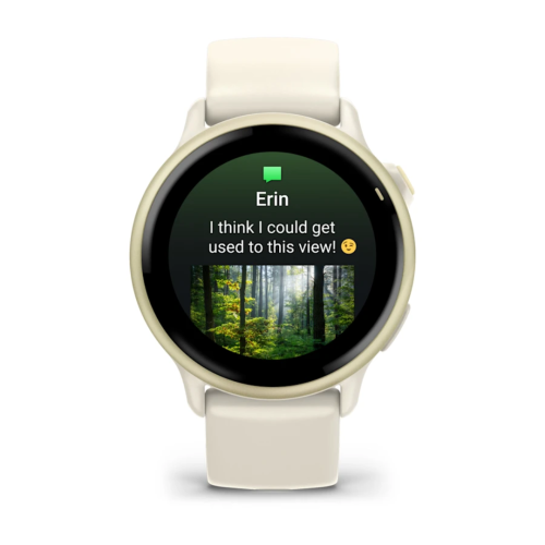 Laikrodis GARMIN Vivoactive 6, šviesaus aukso