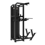Staklės TUNTURI Platinum Dual Assisted Chin Up / Dip Selectorized V-series