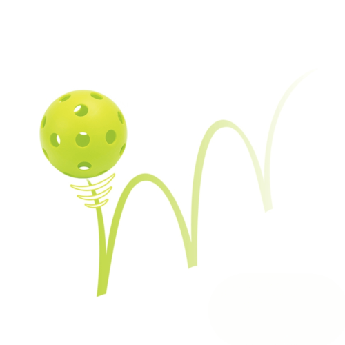 Piklbolo rinkinys Pickleball Set inSPORTline