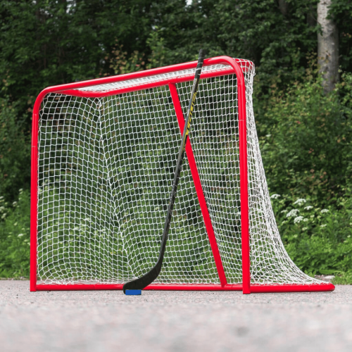 Ledo ritulio vartai Court Icehockey Goal
