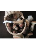 Opinel Nr. 8 grybavimo peilis su ąžuoline rankena ir dėklu dėžutėje