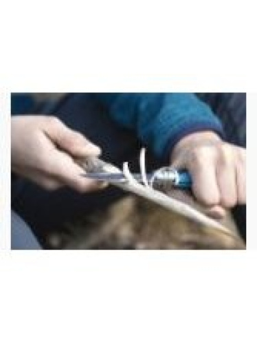 Vaikiškas peilis Opinel Outdoor Junior Nr. 7