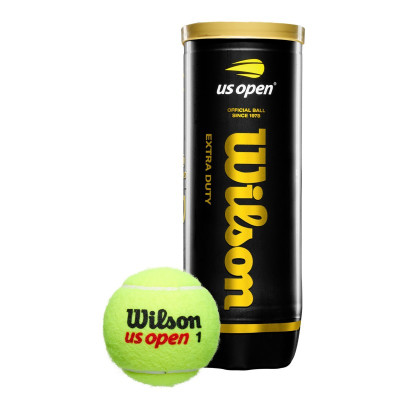 Teniso kamuoliukai Wilson US Open Extra Duty (3 vnt.)