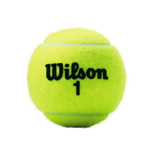 Wilson Championship Extra Duty XD Teniso Kamuoliukai – 3 vnt.