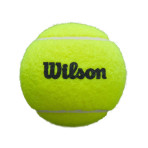 Wilson Premier Padel Ball 3 Ball Can – Padelio Kamuoliukai (3 vnt.)
